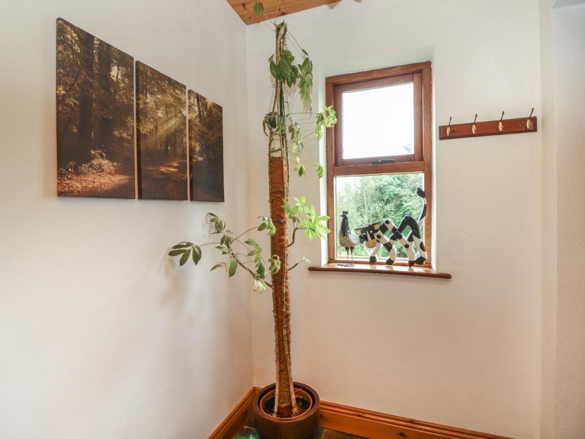 Silver Birch Cuar an Chláir Εξωτερικό φωτογραφία