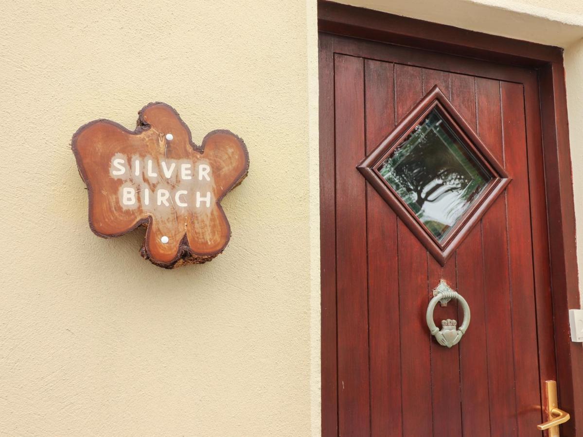 Silver Birch Cuar an Chláir Εξωτερικό φωτογραφία
